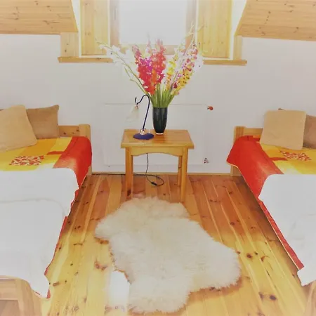 Дом отдыха Dom Wilkow