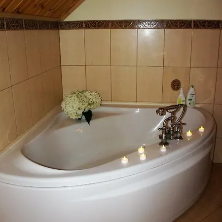 Dom Wilkow Дом отдыха Leoncin