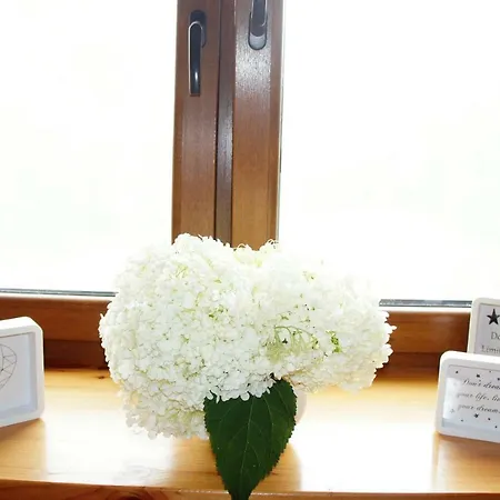 Dom Wilkow Дом отдыха