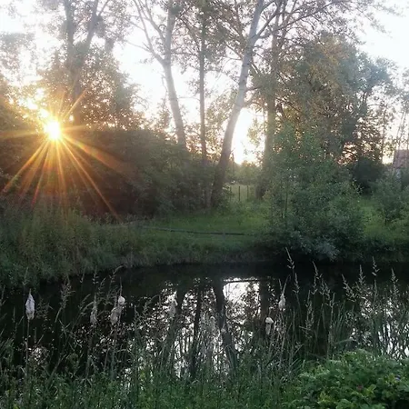 Дом отдыха Dom Wilkow *